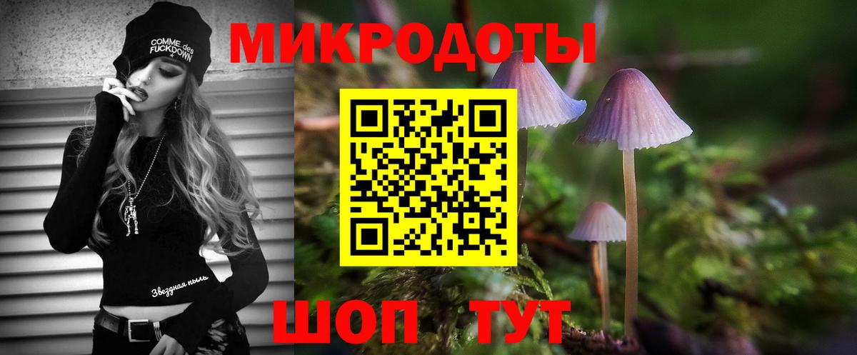 Подольск  Псилоцибиновые грибы мицелий  Вход с VPN 