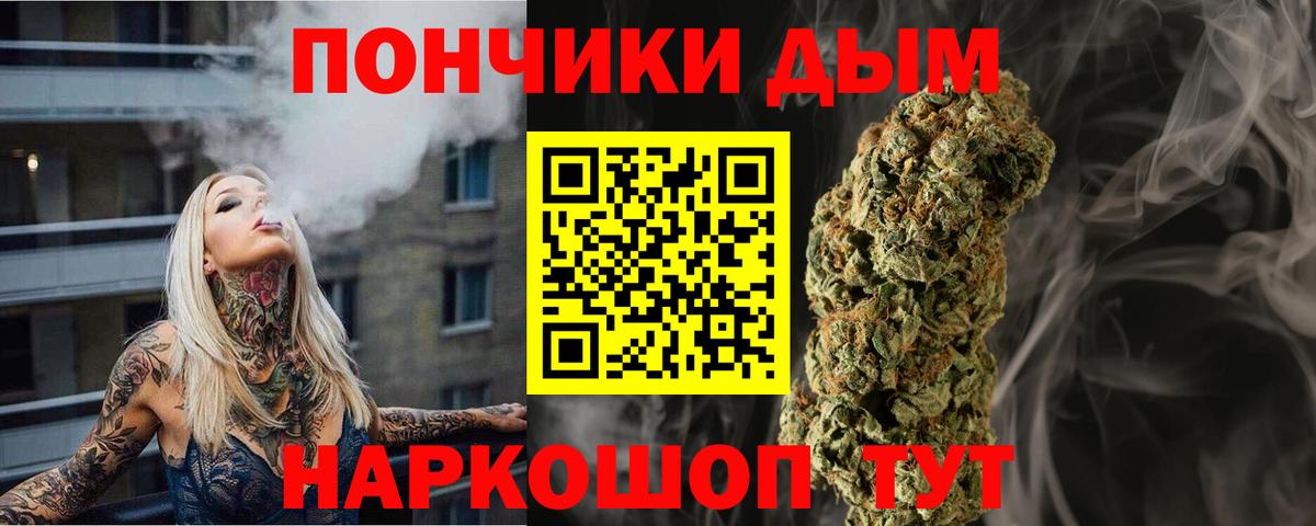 Бошки Шишки план Подольск